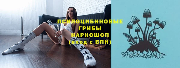 меф Заводоуковск