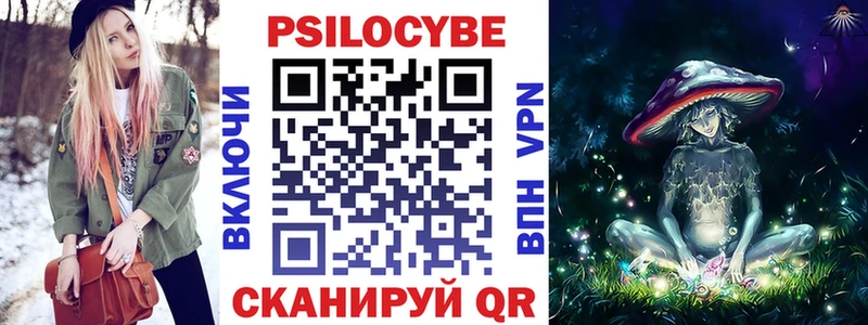 Купить где  Княгинино  Галлюциногенные грибы Psilocybe 